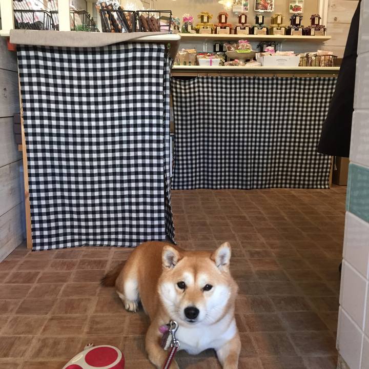 592225b9 5bc3 4a44 a927 f0d741eb74b7