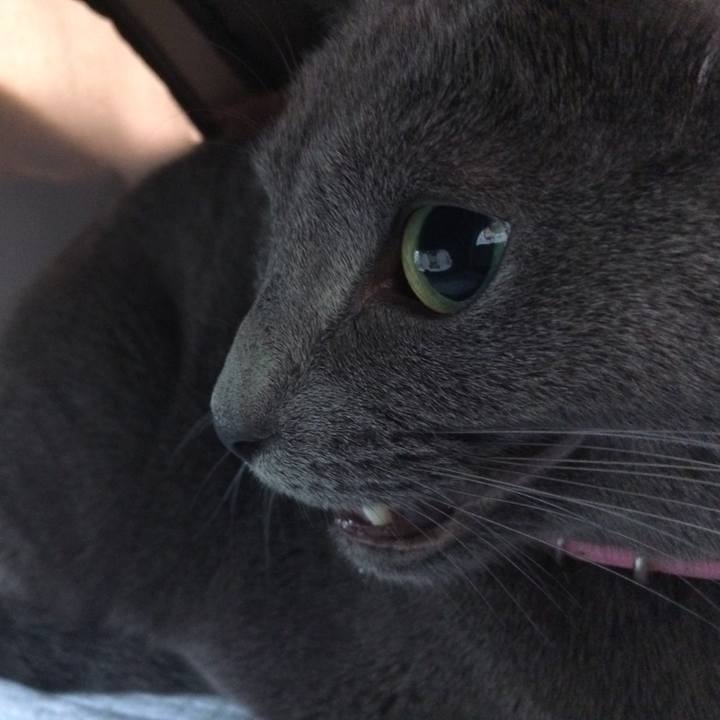 592226ec 92a5 4596 a495 12311641e65c