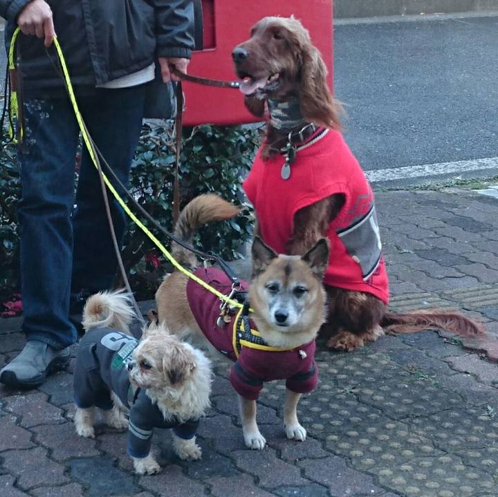 59229ac6 b1da 4b05 9f49 e715036b4078