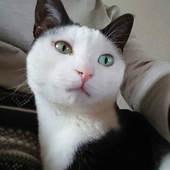 59241d5f 2f36 4134 8394 199d4c49734b