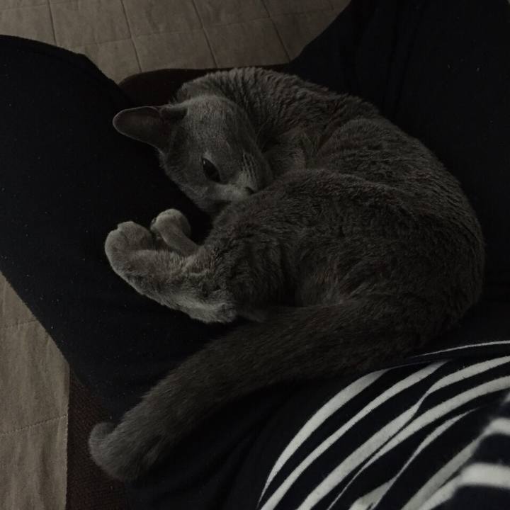 59244077 4c50 41a1 807e dcffb59781ca