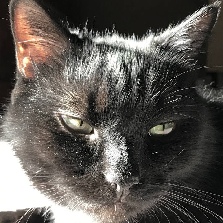 5924aafb 811e 4f68 9166 edba3ed51e22