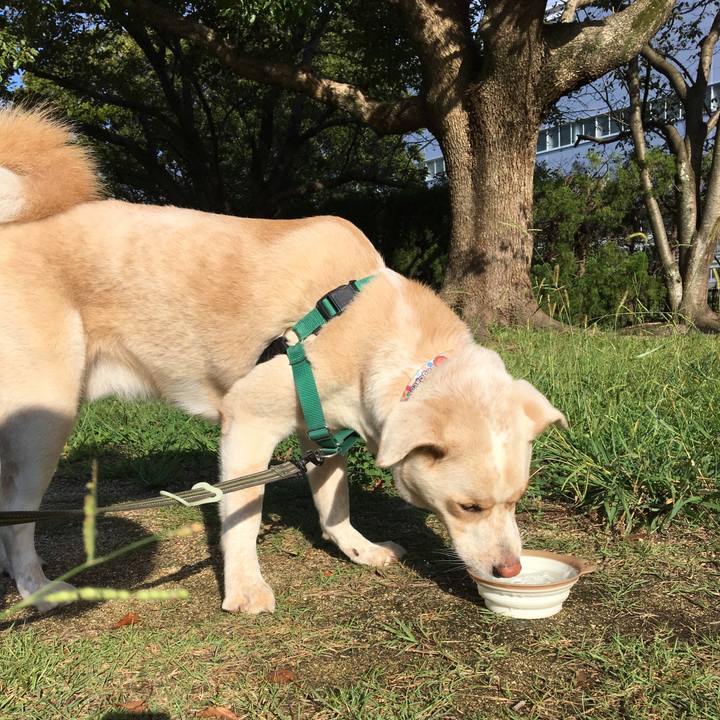 5925728d 1ccc 4e37 a211 ff0f82576493