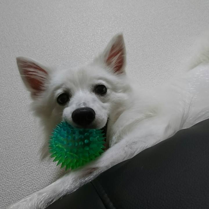 5925a7f5 5b5a 49ec ab26 d4ed1ee900e4