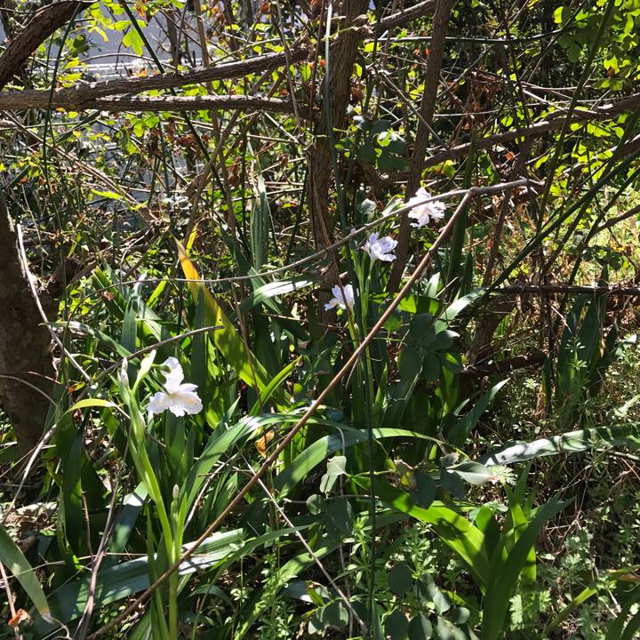 5925da43 e544 447c 98ea 4527dbcaa207