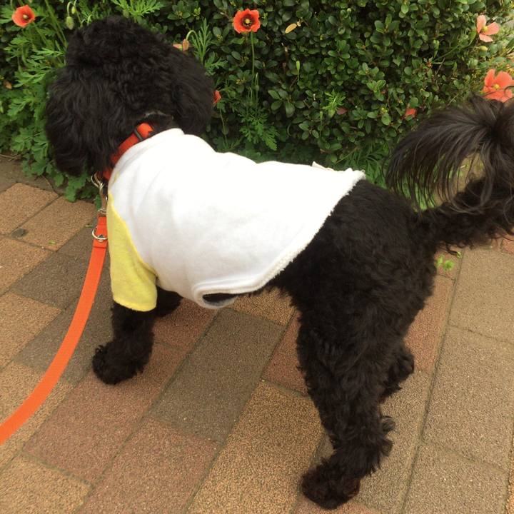 59262e31 bcd8 4af6 a37b 8f3424260bfa