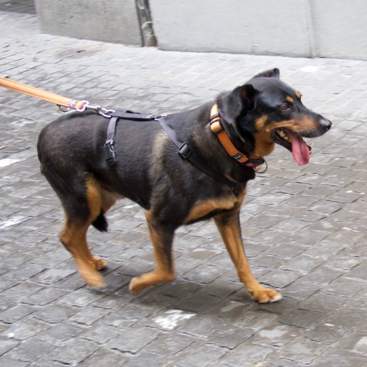 59262fd3 e0fe 4bba 80d1 5e5cf7e08778