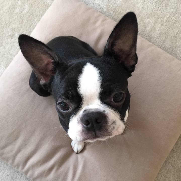 592643ed 3a14 4d0f 948e 5235fb97ceac