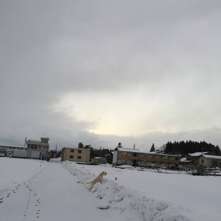 592658f6 ab1d 469b b92f c37b7bd0da29