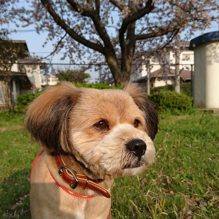 5926b348 a250 43af 84cc 6f7b9a62484c