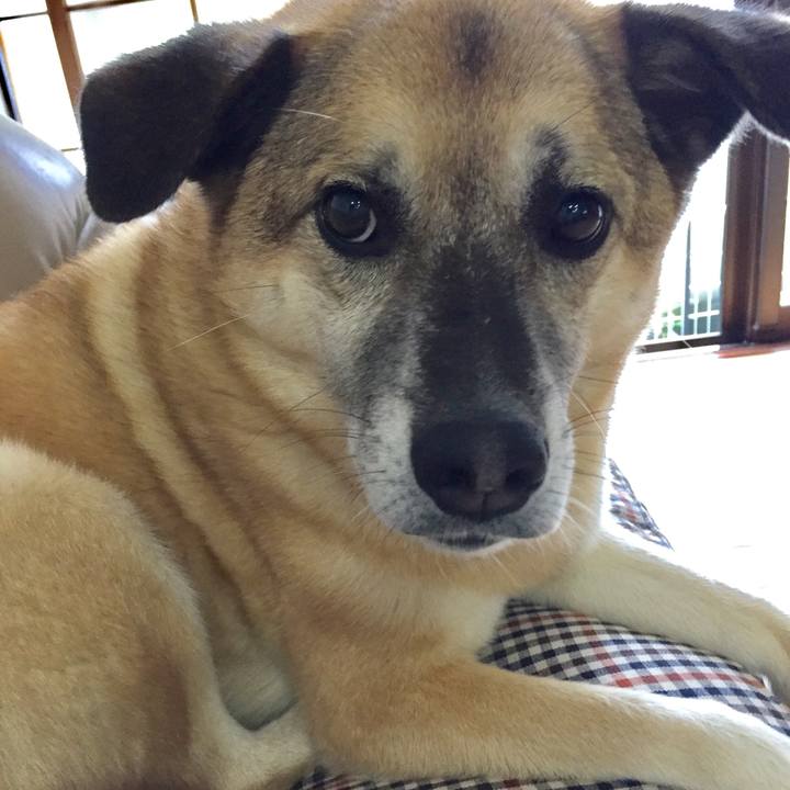 59271e46 153b 4c5b 911e d2ab61c60be1