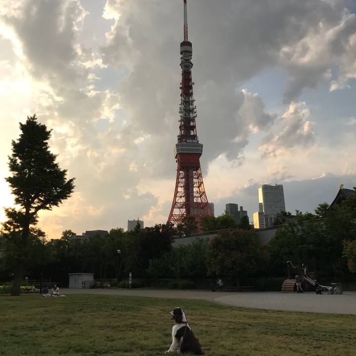 59273f79 d92c 43b0 953b 8f4059aa2abb