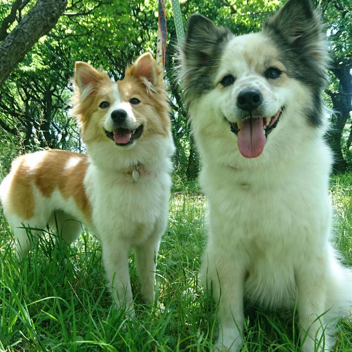 59284ca2 97f2 4d72 9c33 8d2a11664efa