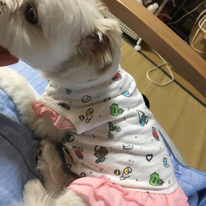 59286f81 4f4a 4cd9 bf9c 3a16109a5dd9