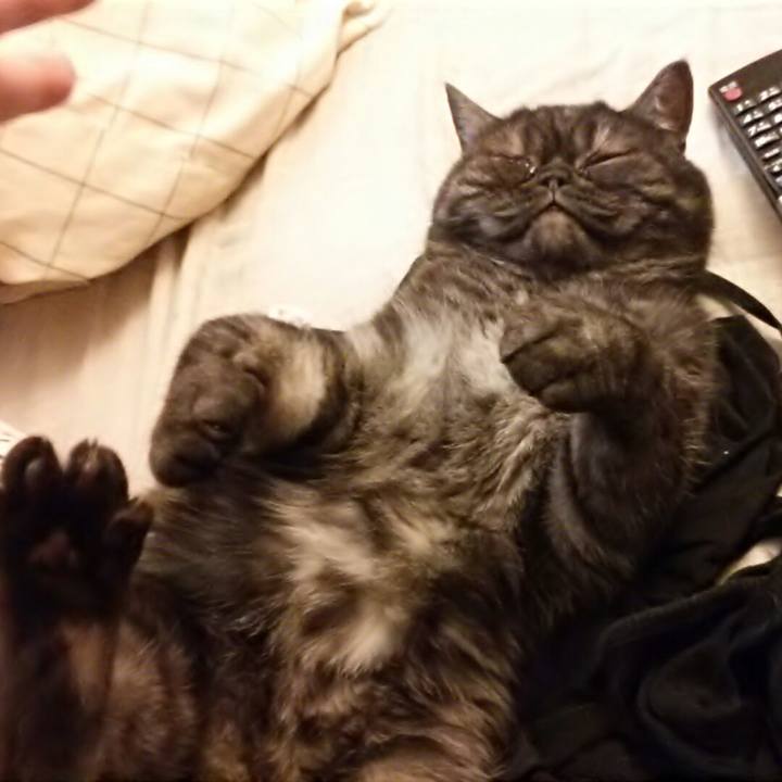 5928f7ae 0e51 420a 8fdf 6c3ea7a2d46e