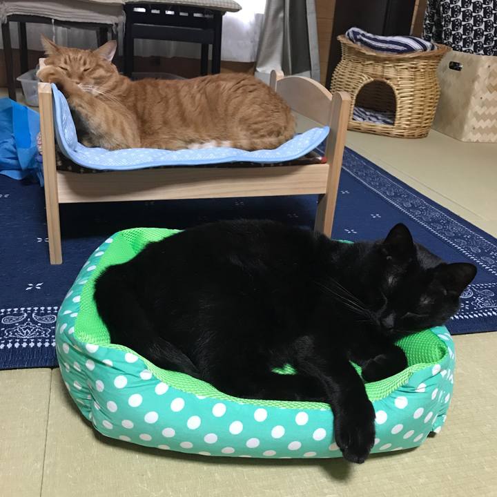 59290eaf 7498 44d8 b44e 24b13817cfee