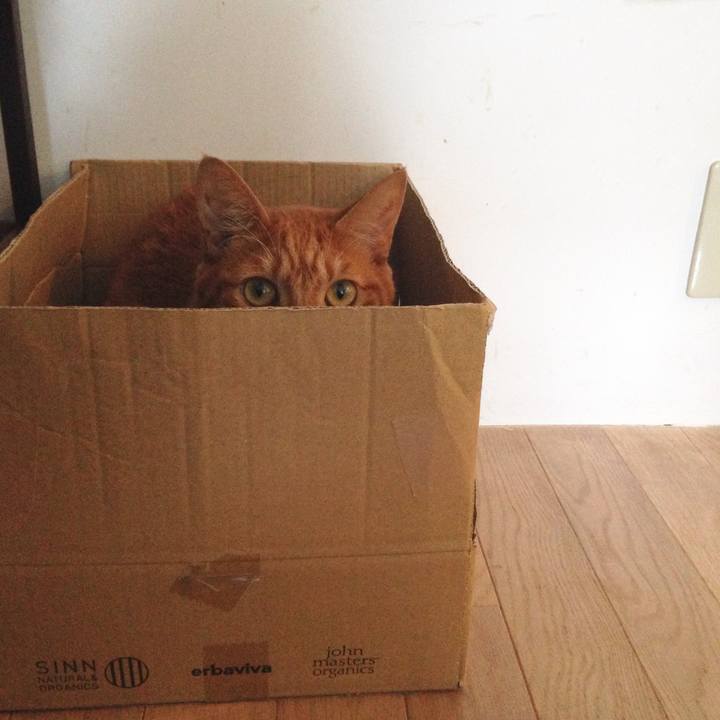 59294813 a3d7 49a2 aeda 40191a6d23ff