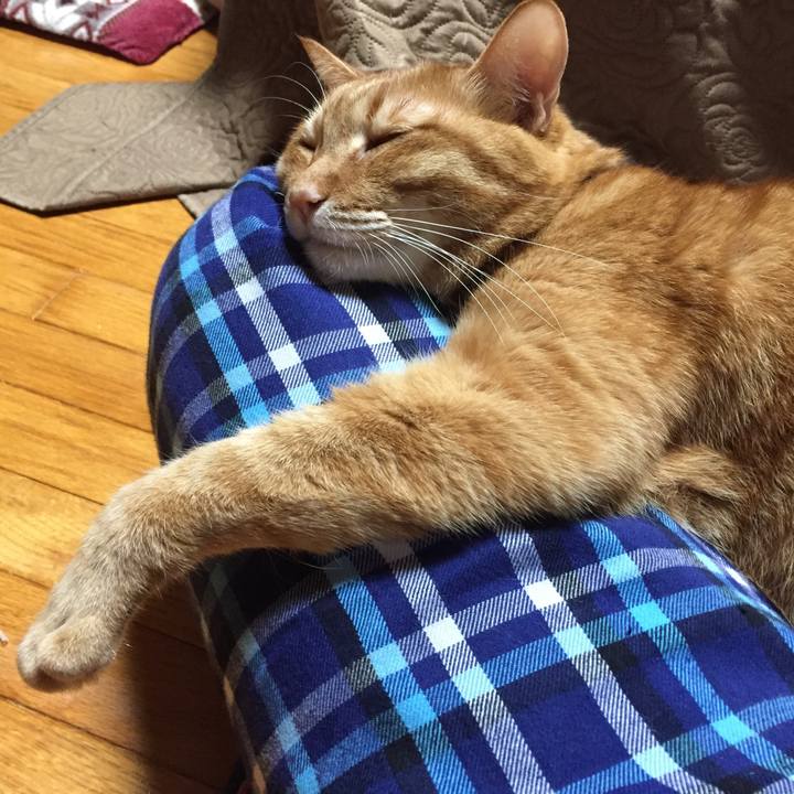 592953b5 73df 4ce4 ba52 f626da4e2fee