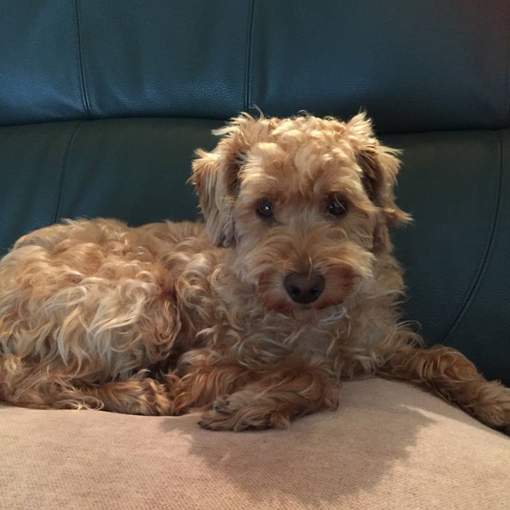 592978f5 c854 4d60 a1fb 494bd48b1529