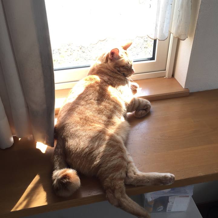 5929ea9a 2fc6 4b8a 90df f1fbc83f0317