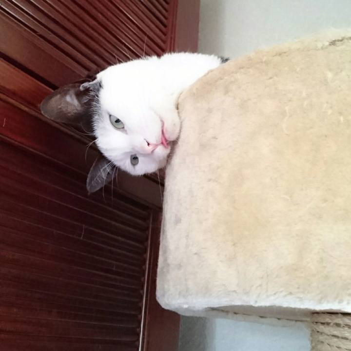 592ab4a7 a10b 4d20 b57c 6e17e9216075