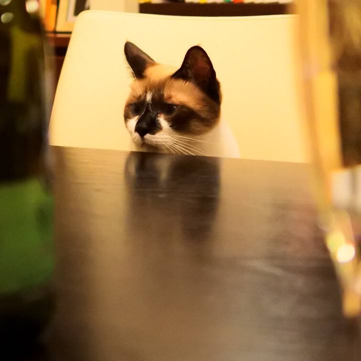 592b1179 2859 45bc 8bb0 2fddfe362bb2