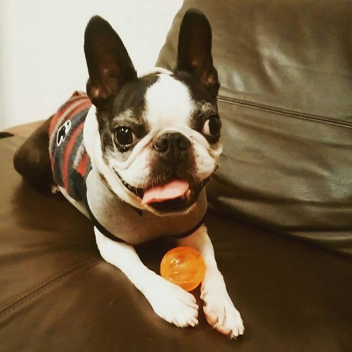 592b78c1 17ea 4e91 bdab 7c64c60c3453