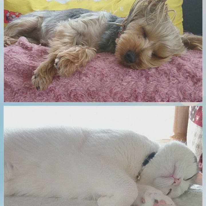 592b83fa 0b38 4fac 8964 bc3ed99f38ae