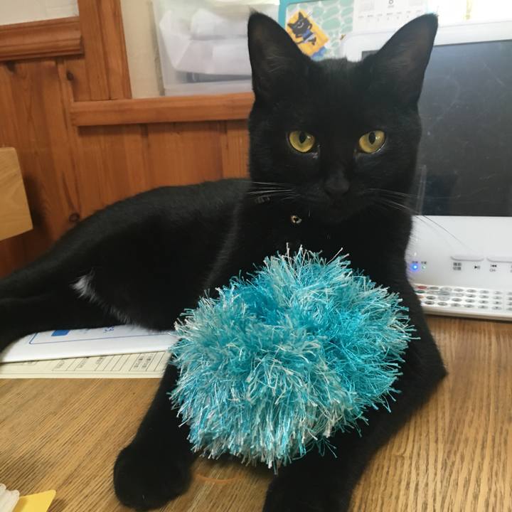 592b8f9c 0dab 4990 ba0d dc8d01eab5f5