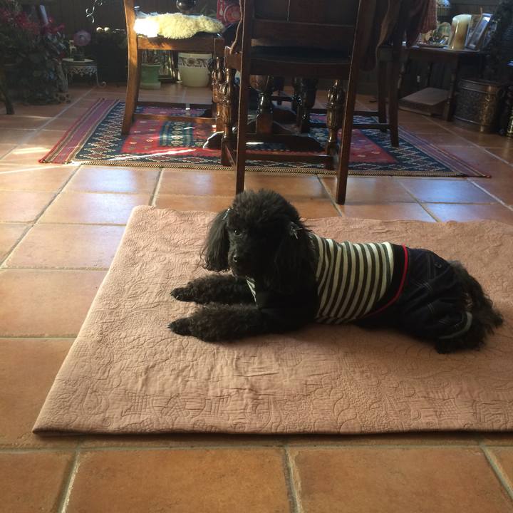 592b9bec 7f17 43eb b4bb 424257744c2d