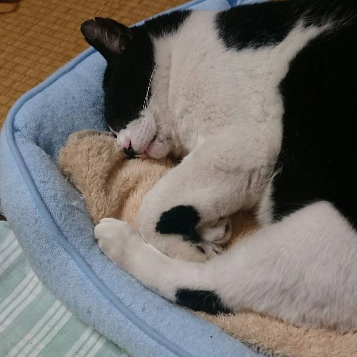 592c3849 30cf 44f9 ad78 ac7893f09889