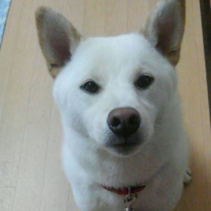 592c9d5f 16c6 44d1 8ab1 6a622e35bd41