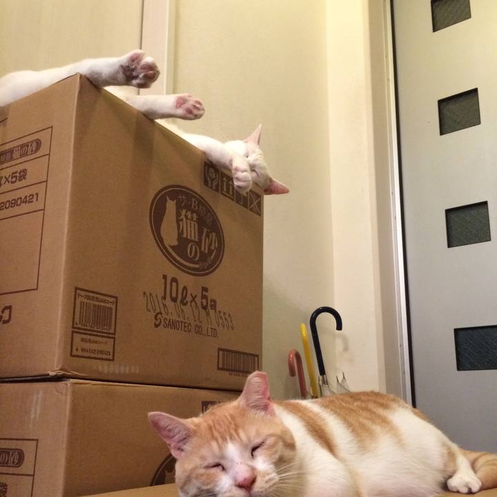 592cdc16 31ce 49ea aa03 9d9519651a44