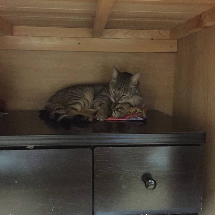 592da199 527f 42a0 8d48 3036900171d8