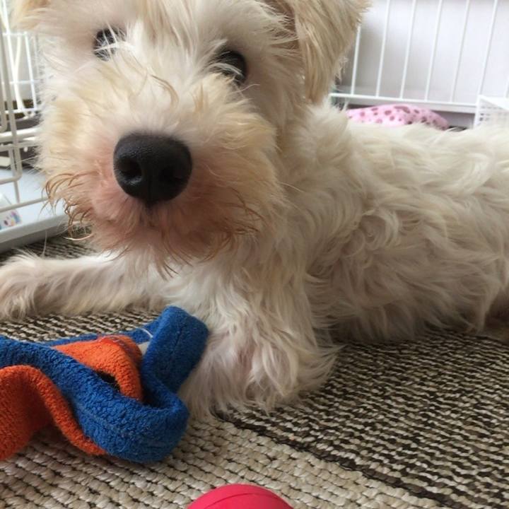 592dc808 393b 4be2 83e9 4e7a9f58f12f