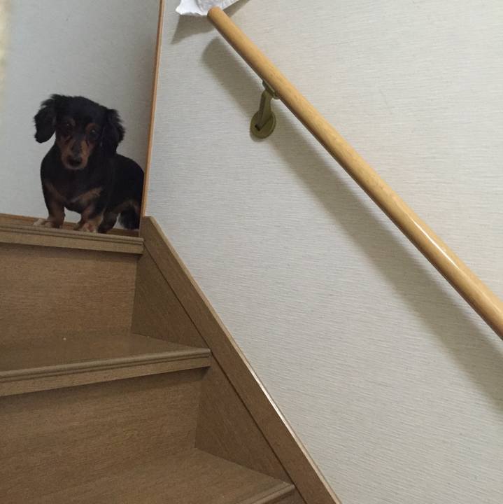 592e9859 8af6 4b72 9226 f13df05d5279