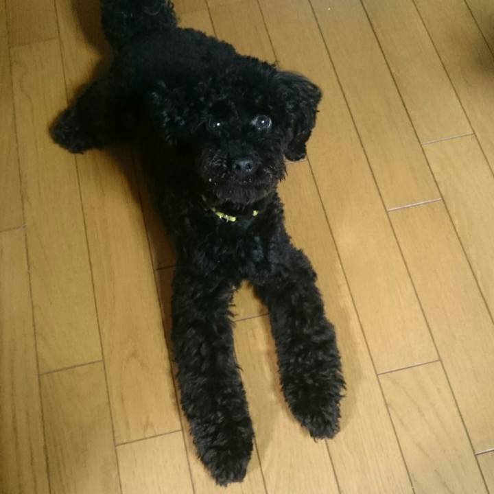 592f8767 2455 4acb 8ffa 6a4d714578c5