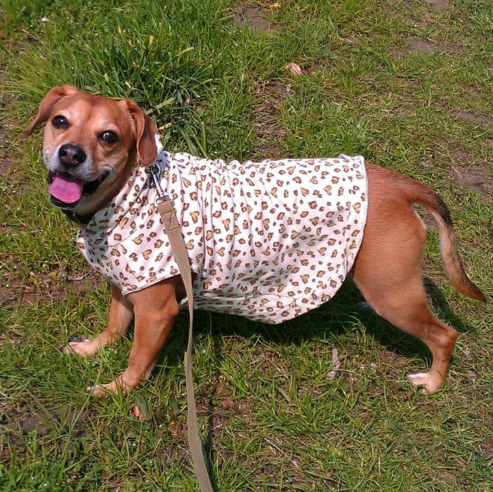 59300151 dc98 4842 8b2a bb62aaef214a