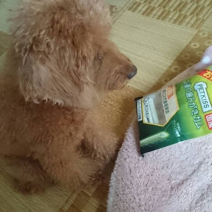 59308184 d91a 4048 a11d 312a5ee7b17e