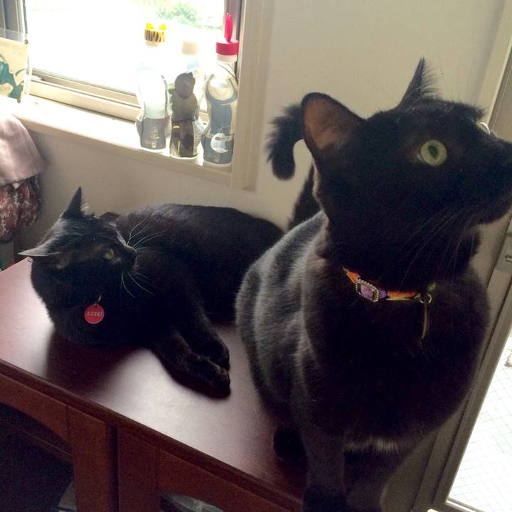 5930dd4a 7a3c 4c48 aad5 015b40c3a789