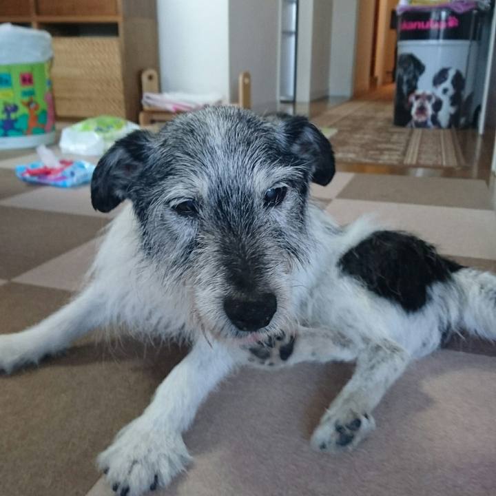 5931731d 3b72 451c b60f 1c0f23d1ae7c