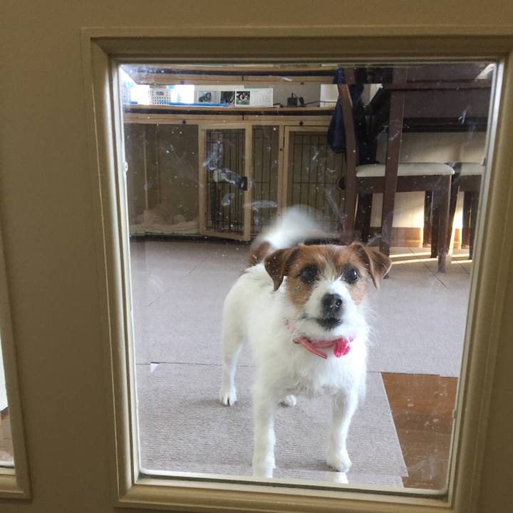 59318ddf 62d5 4204 9062 16292b5bc844