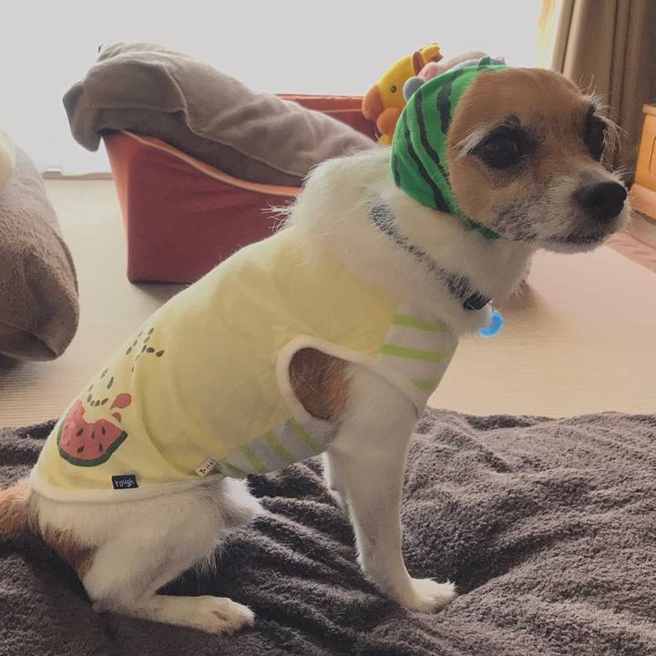 593199bc 4626 4b54 a614 6740e590d0e7