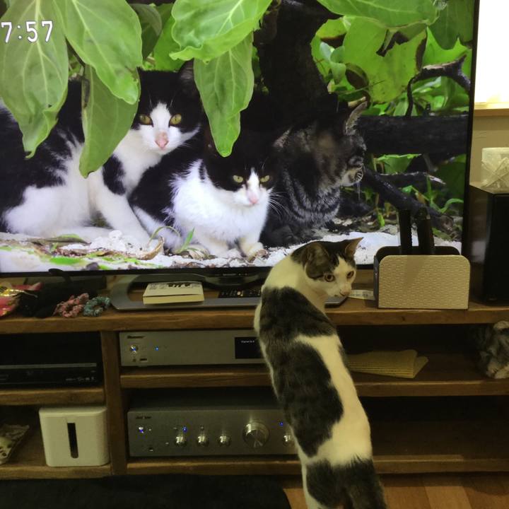 5931dec3 cb8d 4342 a8d8 4abebc8bc2c3