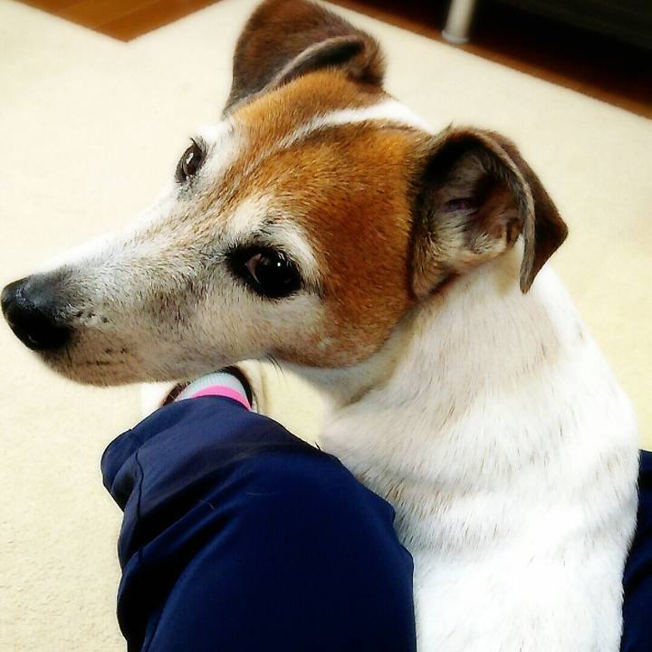 5931f08a 404f 46b1 8bdf c83c4a1e6d11