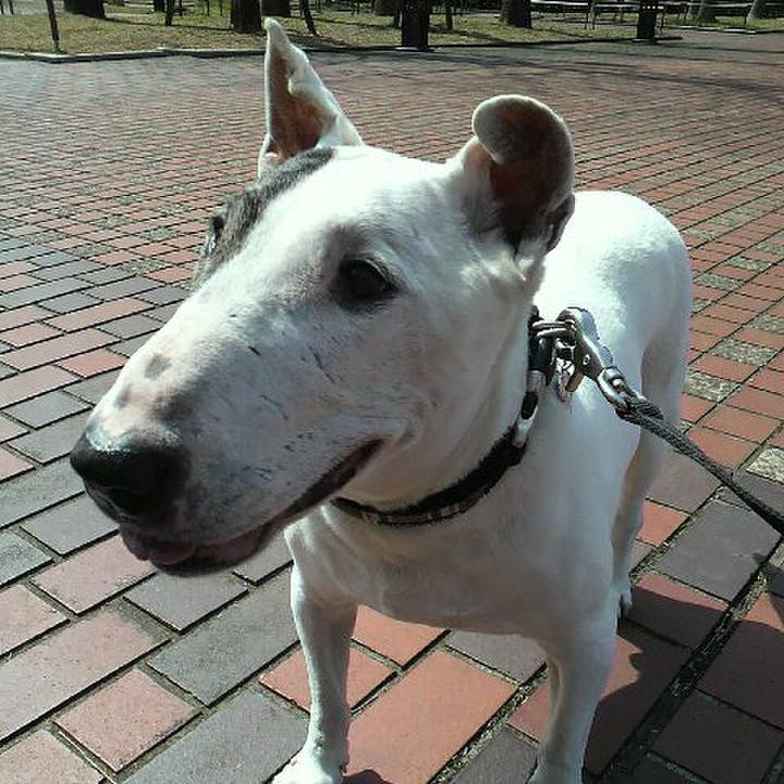 59323e15 a7a5 490e 8d29 58bb1f782863