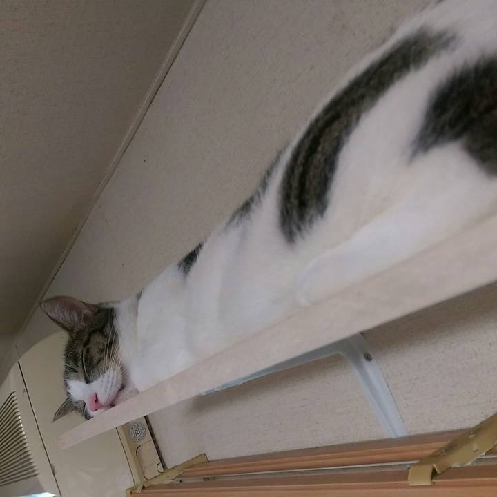 59327719 31d2 405c 813a e13c85d2803f