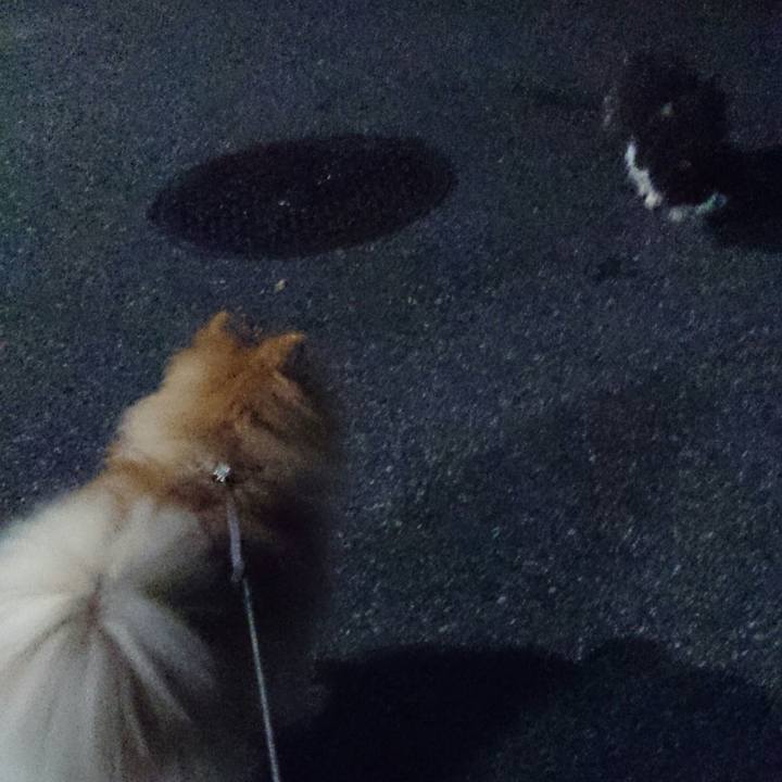 5932a9d0 f371 4dbf 9bfc e19f02ee863f