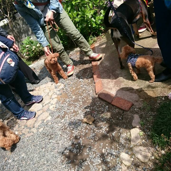 59330a9f 85f5 47f0 b41a 4bb06b8da337