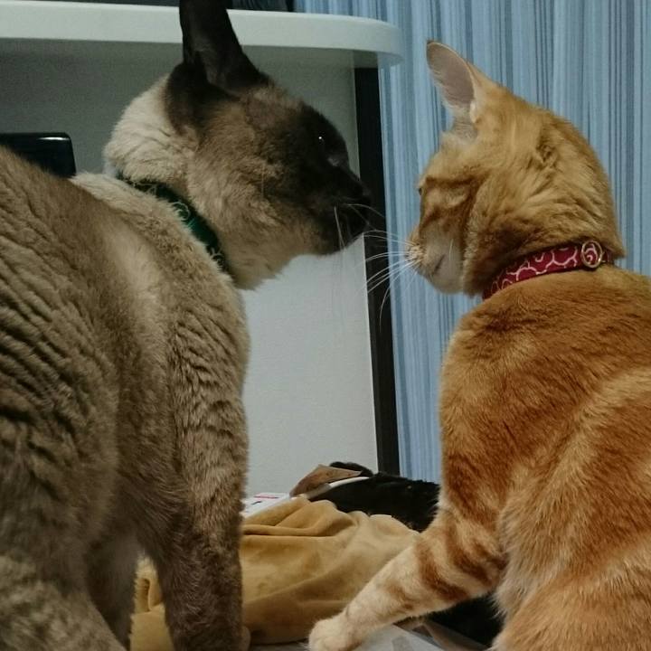 5933291f f929 40ad 9156 7e1e45be518e